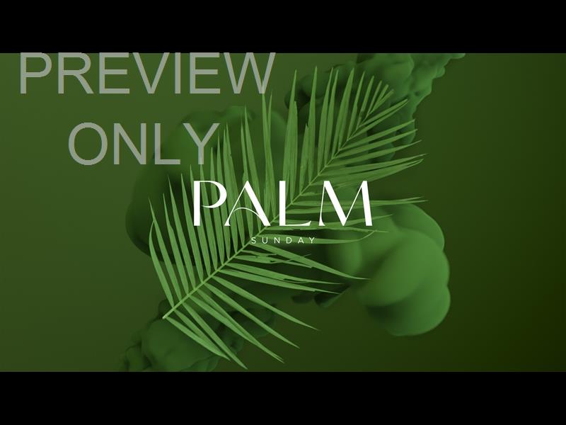 Palm Sunday Ink Palm Sunday Still