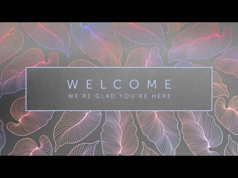 Tropical Night Welcome