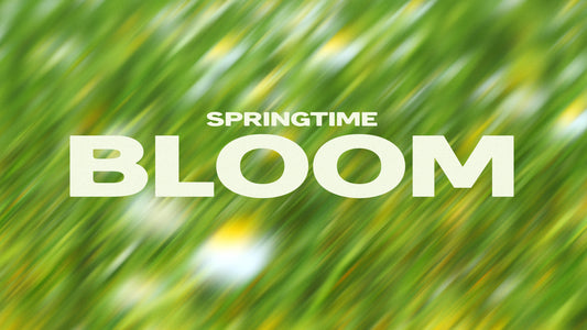 Springtime Bloom Collection
