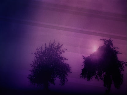 Autumn Mist 9 Motion