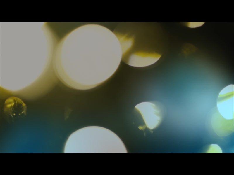 Bright And Beautiful Loop 01