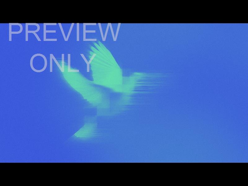 Holy Spirit Still 05