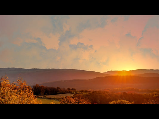 Wilderness Fall 13