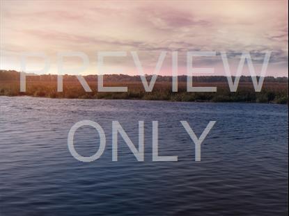 Tidelands 6 Still