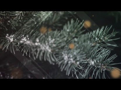 Christmas Glow 4
