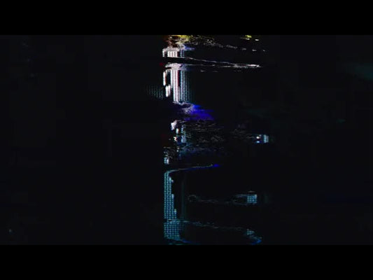 Digital Collapse 19