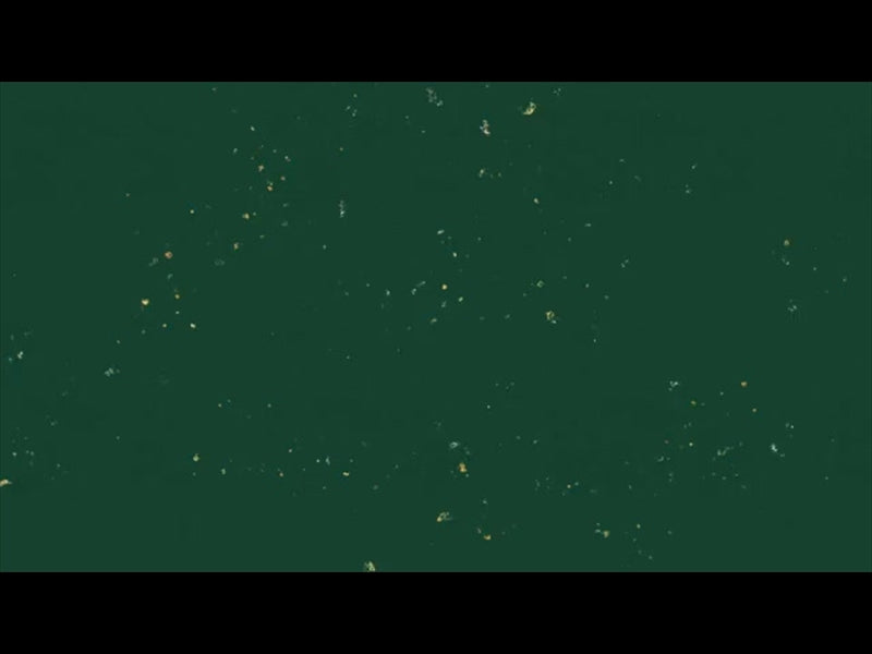 The Joy Of Christmas Green Loop