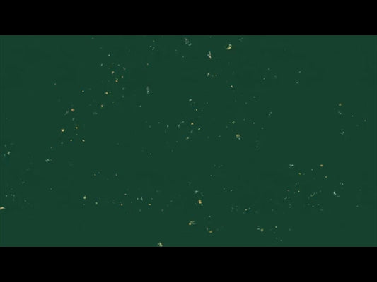The Joy Of Christmas Green Loop