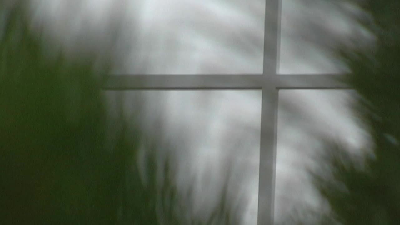 Cross And Pines