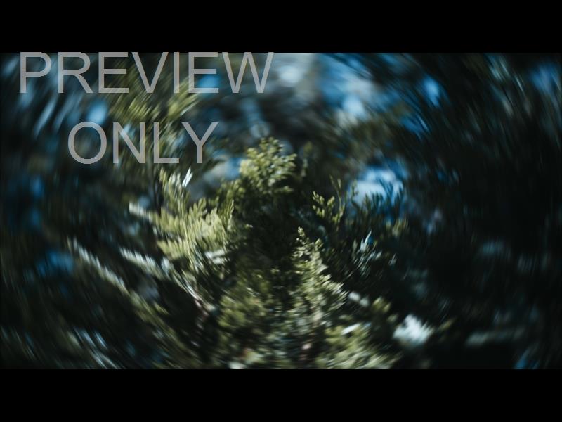 Radial  1 Still