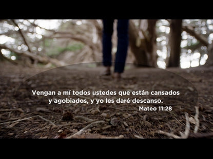 Mateo 11:28 Motion Background