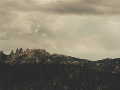 Vistas Forest Mountains