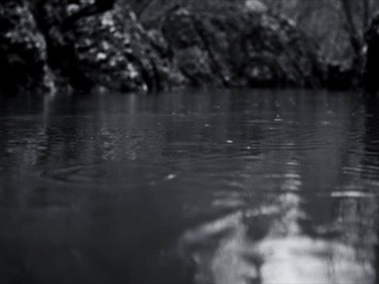 Slow Drops Bw