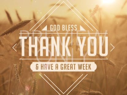 Summer Wheat Thank You