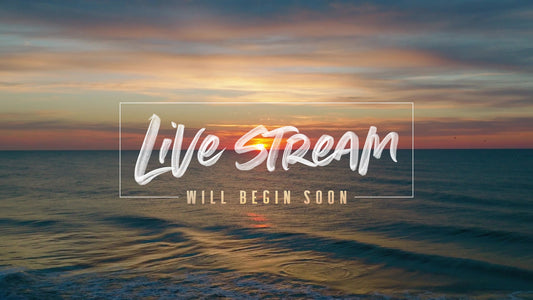 Sunrise Ocean Live Stream
