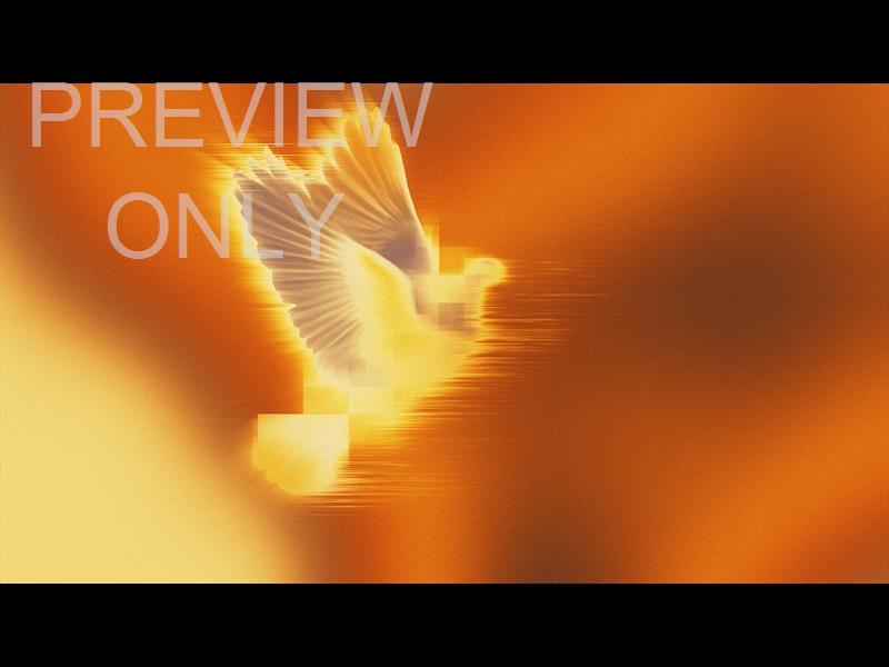Holy Spirit Still 10