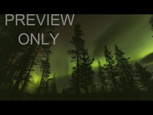 Journey To The Nativity Aurora Still