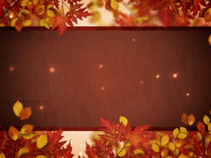 Autumn Branches Passing