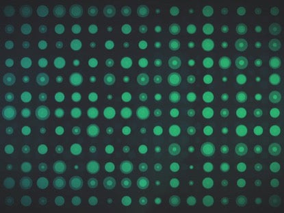 Circle Grid Blue