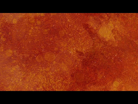 Festive Fall Orange