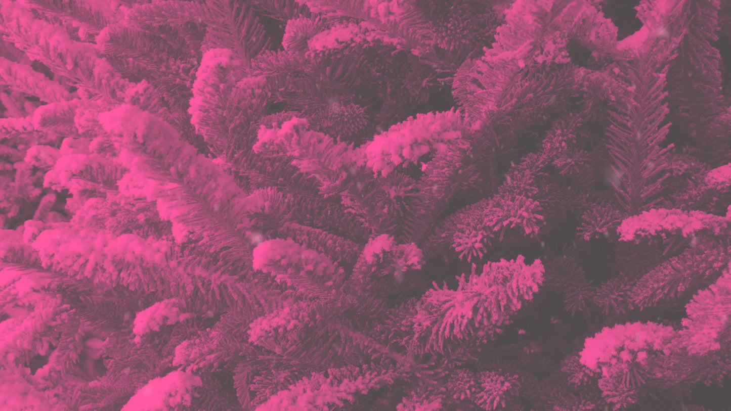 Modern Winter Trees 06