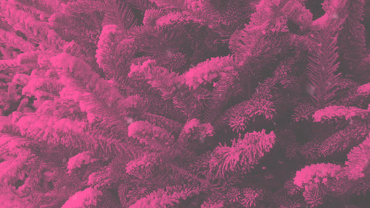 Modern Winter Trees 06