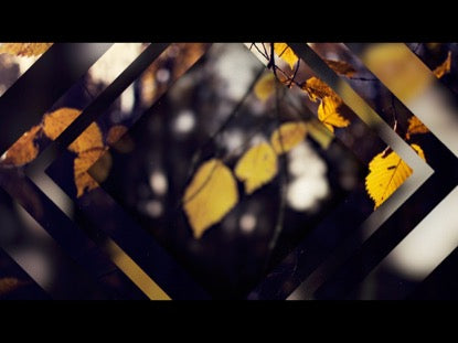 Fall 4