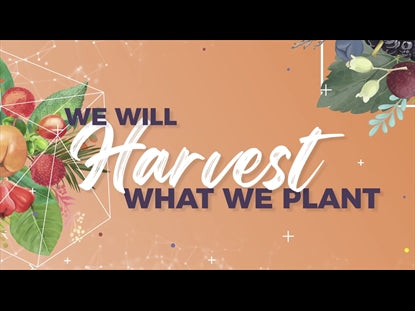 Produce Mini-movie