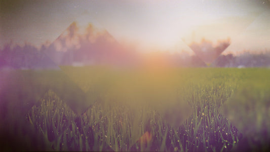 Spring Journey 11 Still