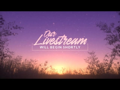 Summer Fireflies Livestream