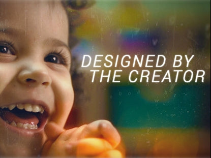 Designed By The Creator