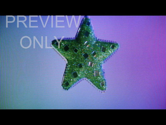 Crt Christmas Ornaments Still 17