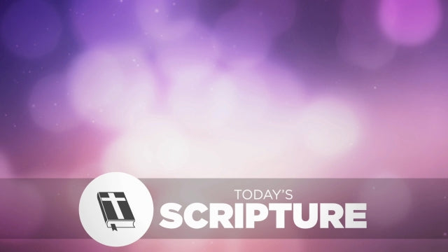 Spring Bokeh Scripture