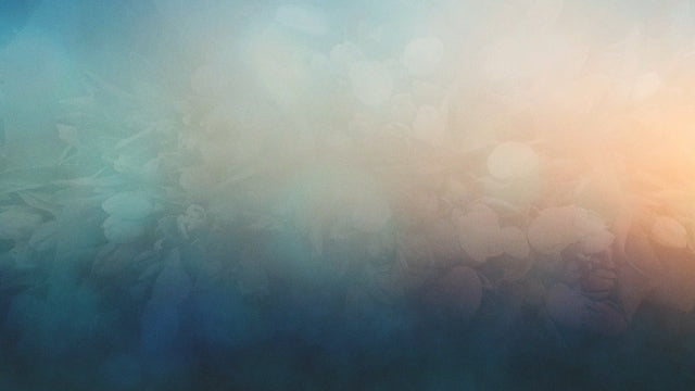Floral Gradients 02