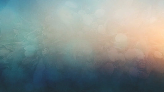 Floral Gradients 02