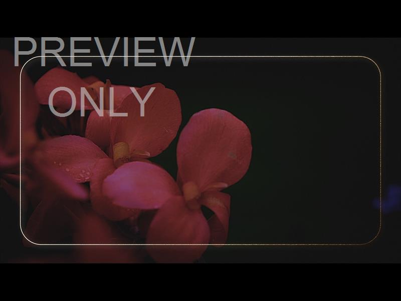 Ebony Floral: Still 02