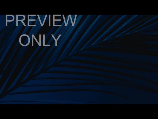 Cinematic Palms Still 7