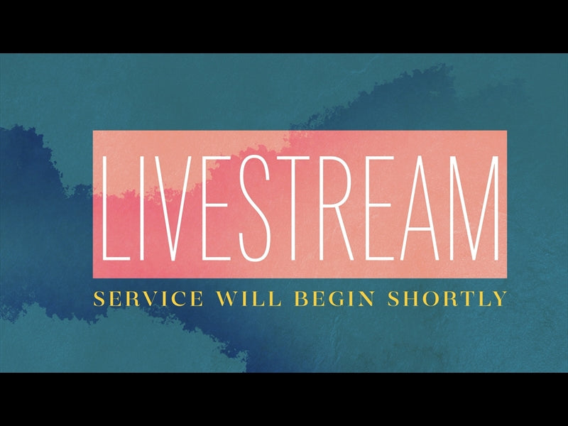 Pastel Livestream