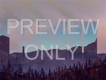 Horizon Fall 9 Remix