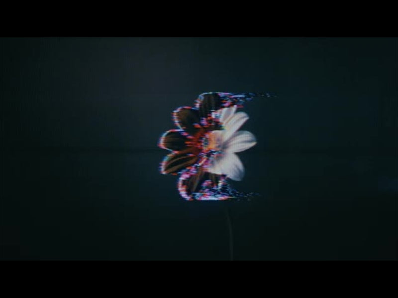 Crt Flowers 5