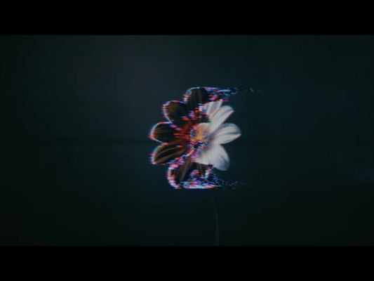 Crt Flowers 5