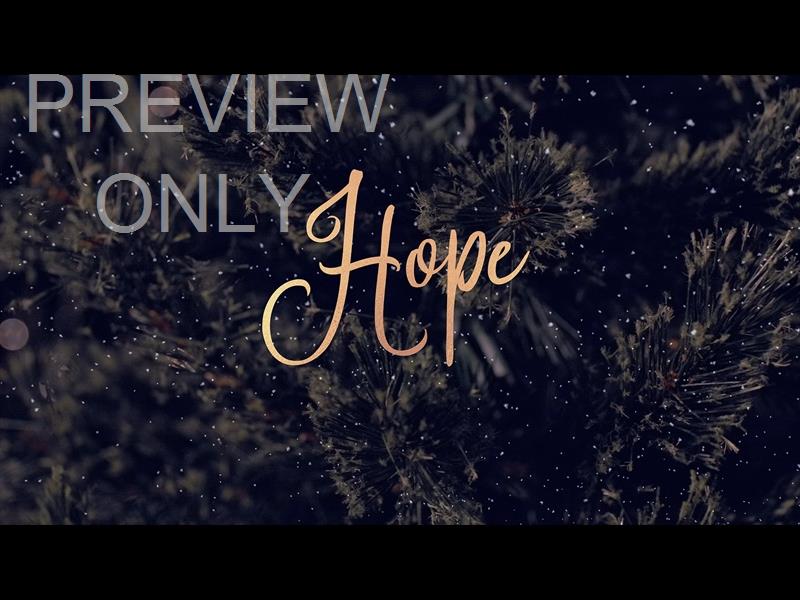 Christmas Tree Hope Still