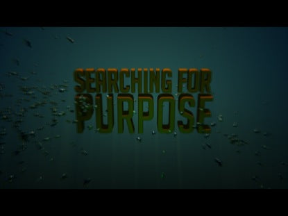 Searching For Purpose