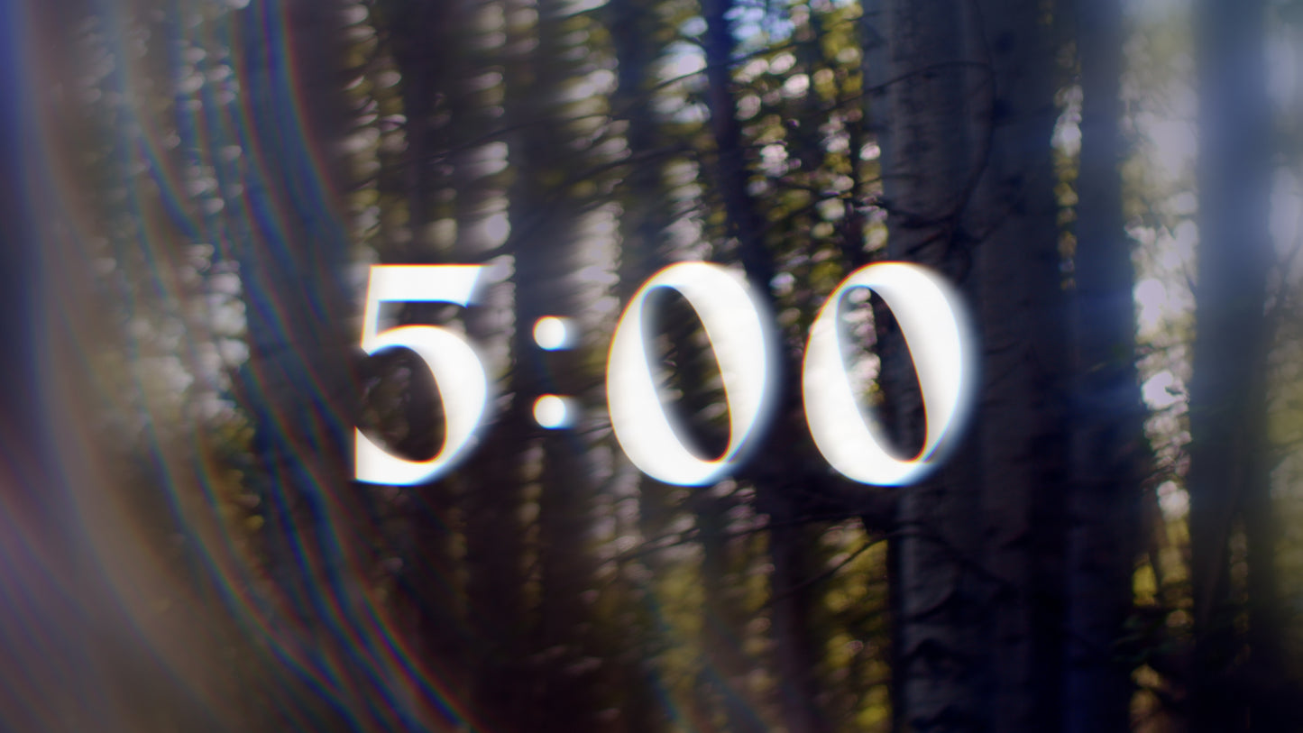Like A Tree Countdown 02