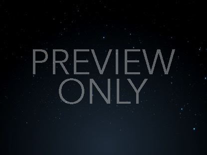 Starlight Nativity 15