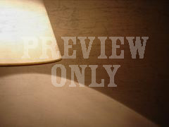 Lampshade
