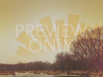 Treeline Rays-still
