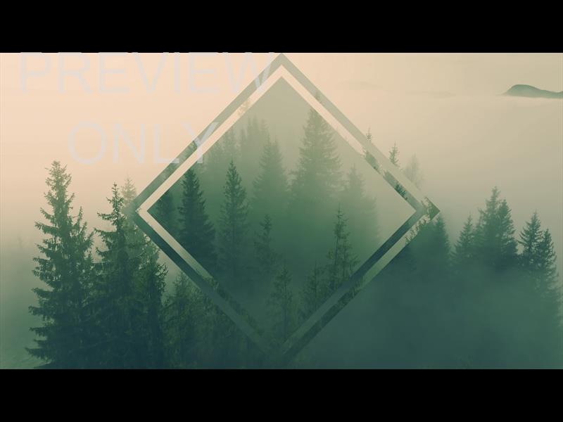 Misty Pines Close Up Diamond Still