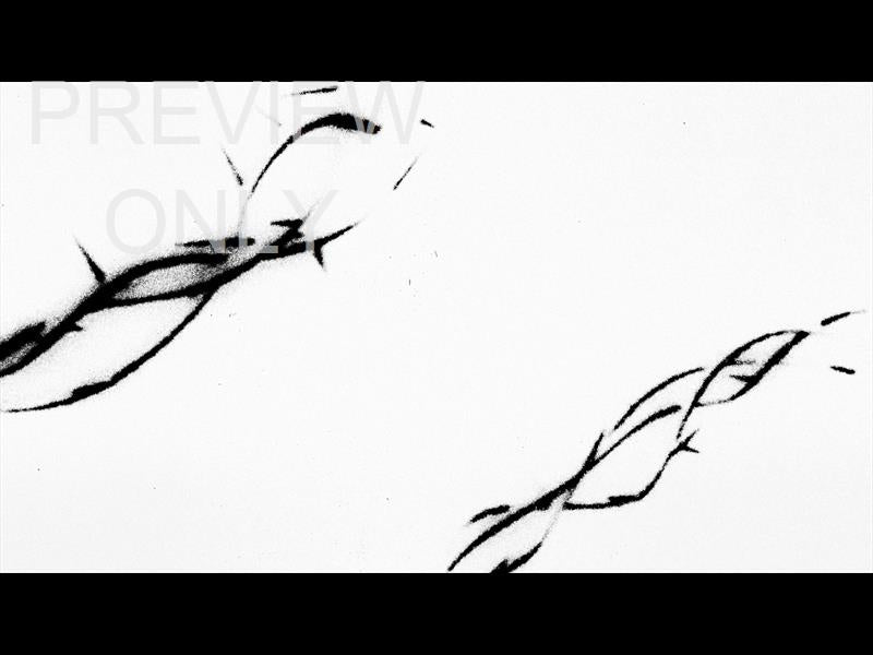 Easter Xxv Still 04