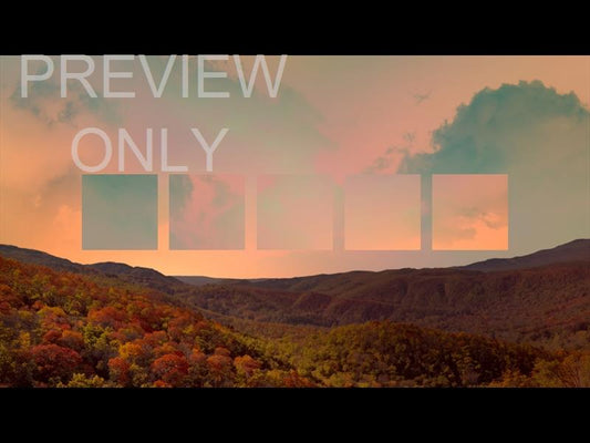 Wilderness Fall 14 Remix Still
